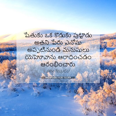 Picture 07 - ఆదికాండం 4:26 TELIRV - షేతుకు ఒక కొడుకు - Bible Verse Picture