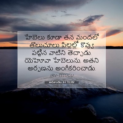 Picture 07 - ఆదికాండం 4:4 TELIRV - హేబెలు కూడా తన - Bible Verse Picture