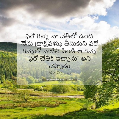 Picture 07 - ఆదికాండం 40:11 TELIRV - ఫరో గిన్నె నా - Bible Verse Picture