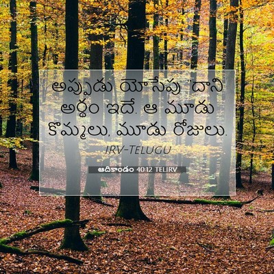 Picture 07 - ఆదికాండం 40:12 TELIRV - అప్పుడు యోసేపు - Bible Verse Picture