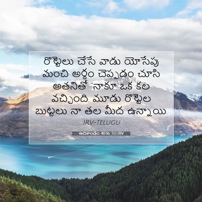 Picture 07 - ఆదికాండం 40:16 TELIRV - రొట్టెలు చేసే - Bible Verse Picture