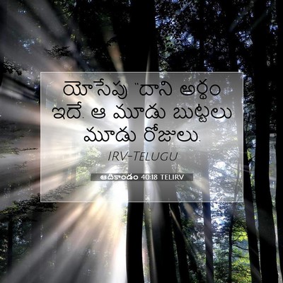 Picture 07 - ఆదికాండం 40:18 TELIRV - యోసేపు “దాని - Bible Verse Picture