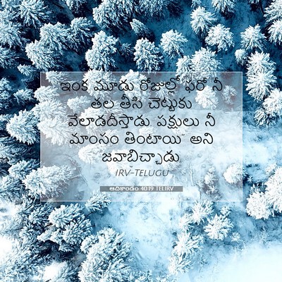 Picture 07 - ఆదికాండం 40:19 TELIRV - ఇంక మూడు రోజుల్లో - Bible Verse Picture