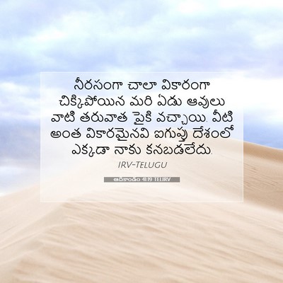 Picture 07 - ఆదికాండం 41:19 TELIRV - నీరసంగా చాలా - Bible Verse Picture