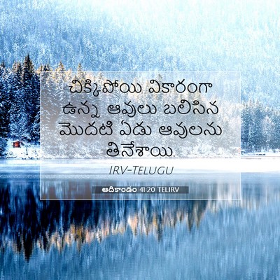 Picture 07 - ఆదికాండం 41:20 TELIRV - చిక్కిపోయి - Bible Verse Picture