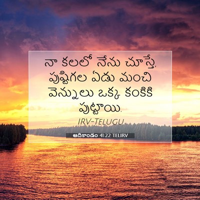Picture 07 - ఆదికాండం 41:22 TELIRV - నా కలలో నేను - Bible Verse Picture