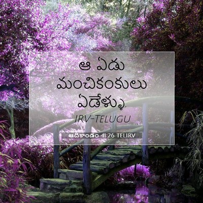 Picture 07 - ఆదికాండం 41:26 TELIRV - ఆ ఏడు మంచికంకులు - Bible Verse Picture