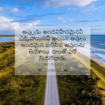 Picture 07 - ఆదికాండం 41:4 TELIRV - అప్పుడు - Bible Verse Picture