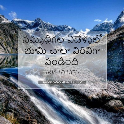 Picture 07 - ఆదికాండం 41:47 TELIRV - సమృద్ధిగల - Bible Verse Picture