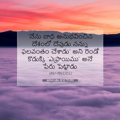 Picture 07 - ఆదికాండం 41:52 TELIRV - “నేను బాధ - Bible Verse Picture