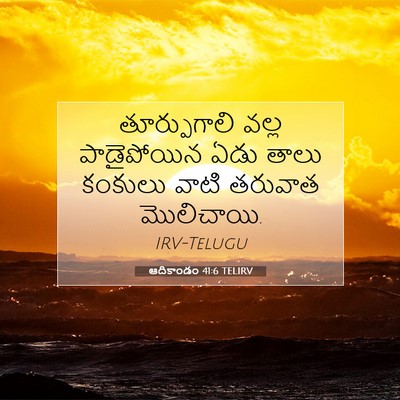 Picture 07 - ఆదికాండం 41:6 TELIRV - తూర్పుగాలి వల్ల - Bible Verse Picture