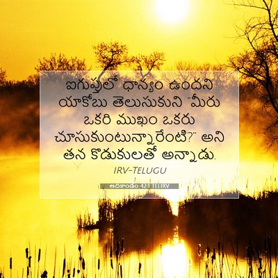 Picture 07 - ఆదికాండం 42:1 TELIRV - ఐగుప్తులో ధాన్యం - Bible Verse Picture