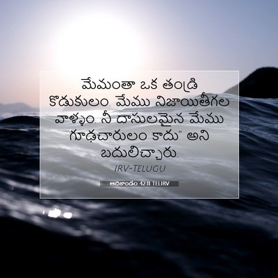 Picture 07 - ఆదికాండం 42:11 TELIRV - మేమంతా ఒక తండ్రి - Bible Verse Picture