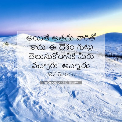 Picture 07 - ఆదికాండం 42:12 TELIRV - అయితే అతడు వారితో - Bible Verse Picture