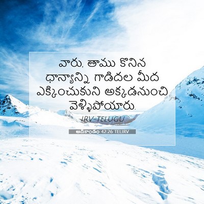 Picture 07 - ఆదికాండం 42:26 TELIRV - వారు, తాము కొనిన - Bible Verse Picture