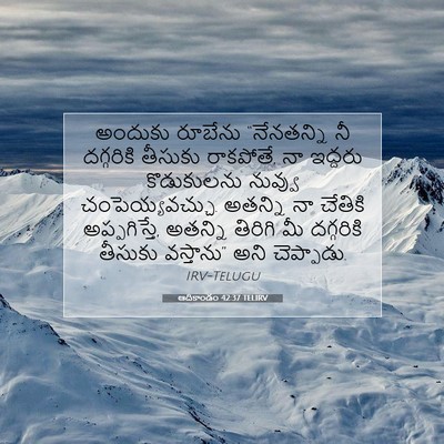 Picture 07 - ఆదికాండం 42:37 TELIRV - అందుకు రూబేను - Bible Verse Picture