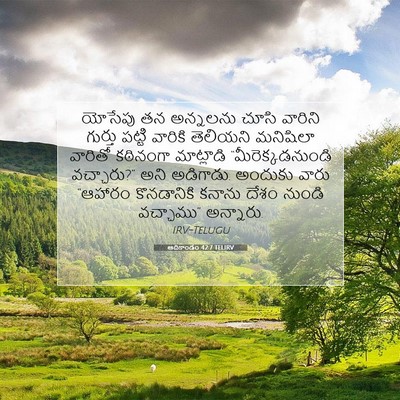Picture 07 - ఆదికాండం 42:7 TELIRV - యోసేపు తన అన్నలను - Bible Verse Picture