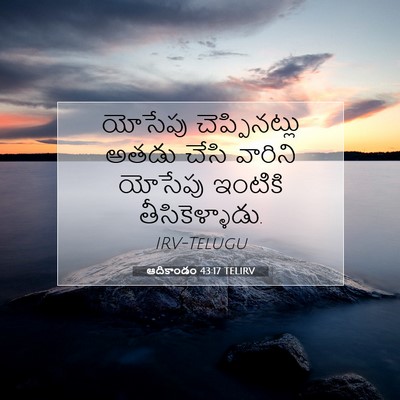 Picture 07 - ఆదికాండం 43:17 TELIRV - యోసేపు - Bible Verse Picture
