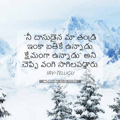 Picture 07 - ఆదికాండం 43:28 TELIRV - “నీ దాసుడైన మా - Bible Verse Picture