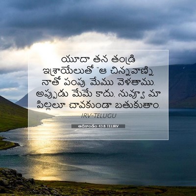 Picture 07 - ఆదికాండం 43:8 TELIRV - యూదా తన తండ్రి - Bible Verse Picture