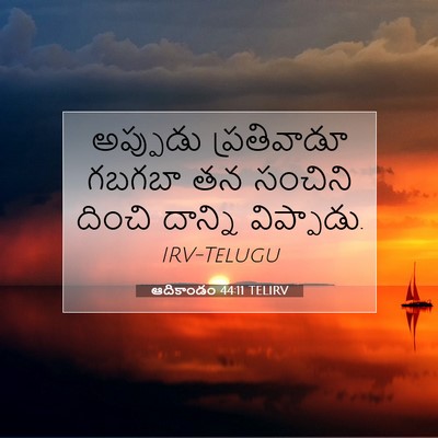 Picture 07 - ఆదికాండం 44:11 TELIRV - అప్పుడు ప్రతివాడూ - Bible Verse Picture
