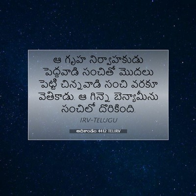 Picture 07 - ఆదికాండం 44:12 TELIRV - ఆ గృహ నిర్వాహకుడు - Bible Verse Picture