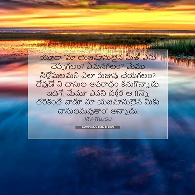 Picture 07 - ఆదికాండం 44:16 TELIRV - యూదా “మా - Bible Verse Picture