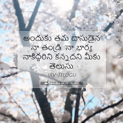 Picture 07 - ఆదికాండం 44:27 TELIRV - అందుకు తమ దాసుడైన - Bible Verse Picture
