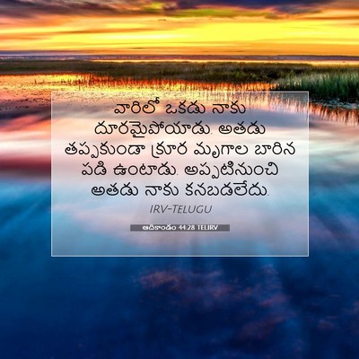 Picture 07 - ఆదికాండం 44:28 TELIRV - వారిలో ఒకడు నాకు - Bible Verse Picture