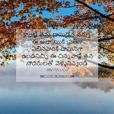 Picture 07 - ఆదికాండం 44:33 TELIRV - కాబట్టి తమ - Bible Verse Picture