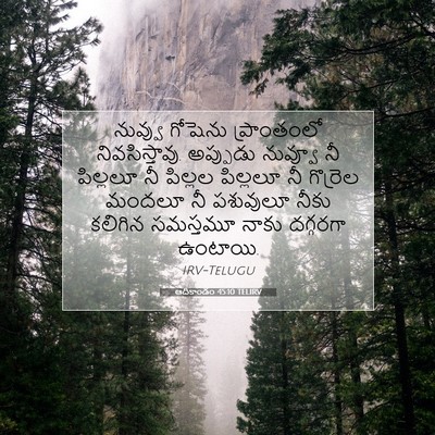 Picture 07 - ఆదికాండం 45:10 TELIRV - నువ్వు గోషెను - Bible Verse Picture