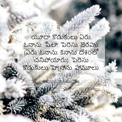 Picture 07 - ఆదికాండం 46:12 TELIRV - యూదా కొడుకులు ఏరు, - Bible Verse Picture