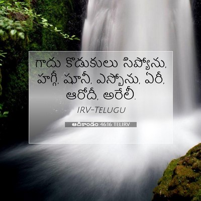 Picture 07 - ఆదికాండం 46:16 TELIRV - గాదు కొడుకులు - Bible Verse Picture