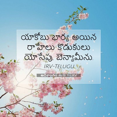 Picture 07 - ఆదికాండం 46:19 TELIRV - యాకోబు భార్య అయిన - Bible Verse Picture