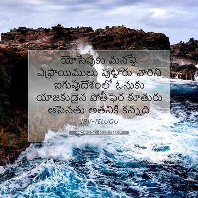Picture 07 - ఆదికాండం 46:20 TELIRV - యోసేపుకు మనష్షే, - Bible Verse Picture