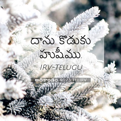 Picture 07 - ఆదికాండం 46:23 TELIRV - దాను కొడుకు - Bible Verse Picture