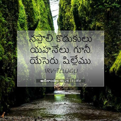 Picture 07 - ఆదికాండం 46:24 TELIRV - నఫ్తాలి కొడుకులు - Bible Verse Picture