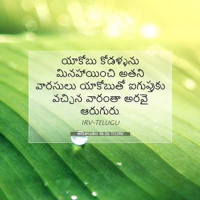 Picture 07 - ఆదికాండం 46:26 TELIRV - యాకోబు కోడళ్ళను - Bible Verse Picture