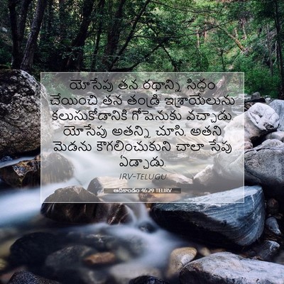 Picture 07 - ఆదికాండం 46:29 TELIRV - యోసేపు తన రథాన్ని - Bible Verse Picture