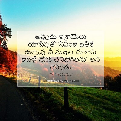 Picture 07 - ఆదికాండం 46:30 TELIRV - అప్పుడు ఇశ్రాయేలు - Bible Verse Picture