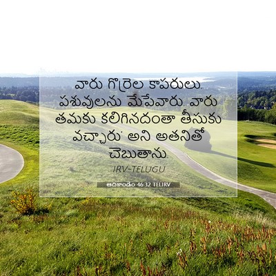 Picture 07 - ఆదికాండం 46:32 TELIRV - వారు గొర్రెల - Bible Verse Picture