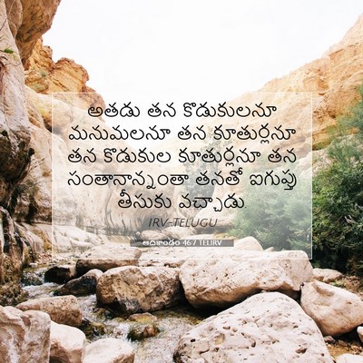 Picture 07 - ఆదికాండం 46:7 TELIRV - అతడు తన కొడుకులనూ - Bible Verse Picture