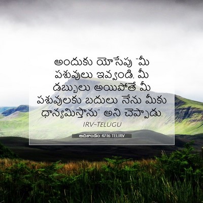 Picture 07 - ఆదికాండం 47:16 TELIRV - అందుకు యోసేపు “మీ - Bible Verse Picture