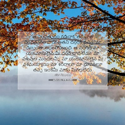 Picture 07 - ఆదికాండం 47:18 TELIRV - ఆ సంవత్సరం గడిచాక, - Bible Verse Picture
