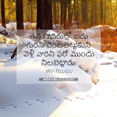 Picture 07 - ఆదికాండం 47:2 TELIRV - తన సోదరుల్లో ఐదు - Bible Verse Picture