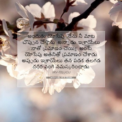Picture 07 - ఆదికాండం 47:31 TELIRV - అందుకు యోసేపు - Bible Verse Picture