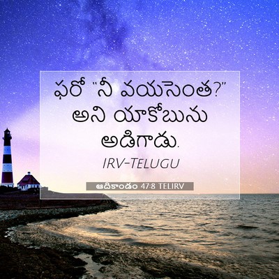 Picture 07 - ఆదికాండం 47:8 TELIRV - ఫరో “నీ వయసెంత?” - Bible Verse Picture