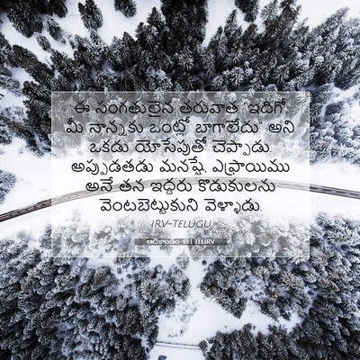Picture 07 - ఆదికాండం 48:1 TELIRV - ఈ సంగతులైన తరువాత - Bible Verse Picture