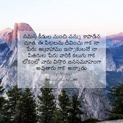 Picture 07 - ఆదికాండం 48:16 TELIRV - సమస్త కీడుల నుంచి - Bible Verse Picture