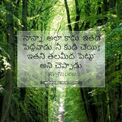 Picture 07 - ఆదికాండం 48:18 TELIRV - “నాన్నా, అలా కాదు. - Bible Verse Picture